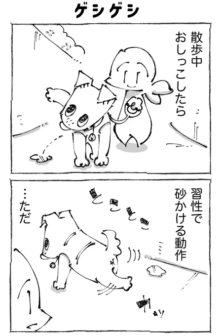 【1/2】 