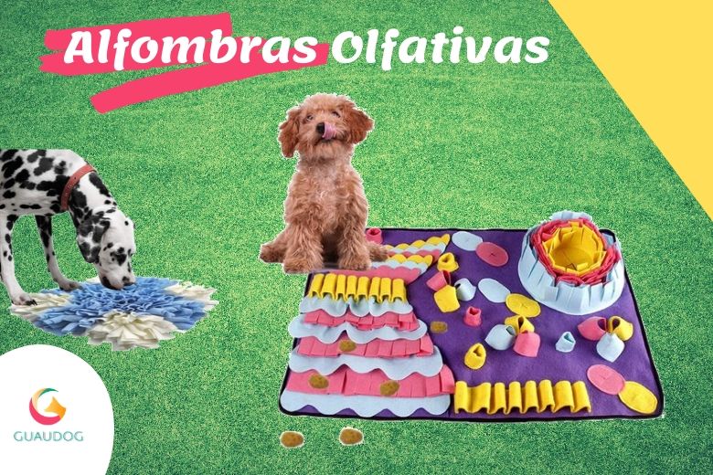 guaudogweb's tweet photo. 🥇Las Mejores【ALFOMBRAS OLFATIVAS】¡Estimula la Mente de tu Perro!
✅¡¡LAS ALFOMBRAS OLFATIVAS PARA PERROS!!➜ nos ayudan a estimular la mente de nuestra mascota y previenen la ansiedad. 💲¡Entra y Comprala al mejor precio!💲

https://t.co/XrK4q1N6pr https://t.co/7YkDvI0xNM