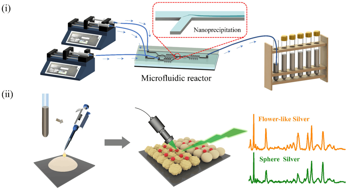 chemosens_MDPI's tweet photo. #Article
Rapid Fabrication of Homogeneous Submicron Silver Particles via a Microfluidic Chip and Use as a SERS Detection Substrate by Junjie Chen, et al.
https://t.co/lsFsp1QNot
@MDPIOpenAccess @CJLU_China
#submicronsilverparticles #microfluidicchip #SERSdetection https://t.co/P4cBL3Owbt