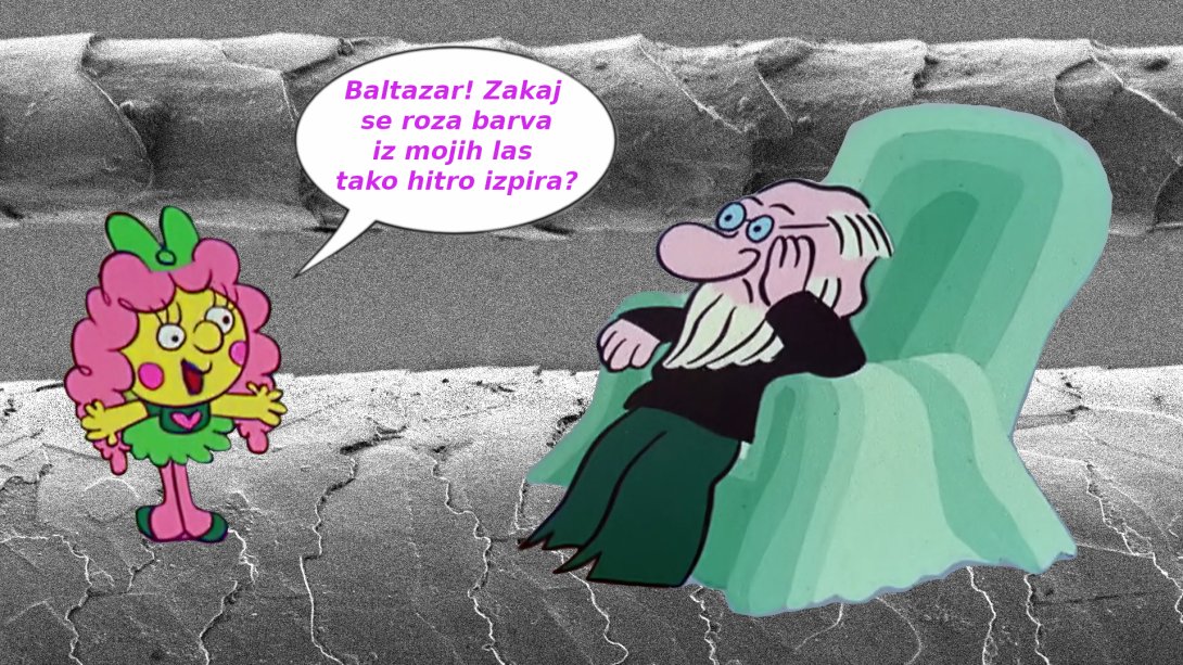 Baltazar tokrat odgovarja na vprašanja o barvah za lase. Zakaj se roza barva in druge žive barve v primerjavi z drugimi barvami za lase hitreje izpirajo? Prisluhnite!

radiostudent.si/znanost/baltaz…