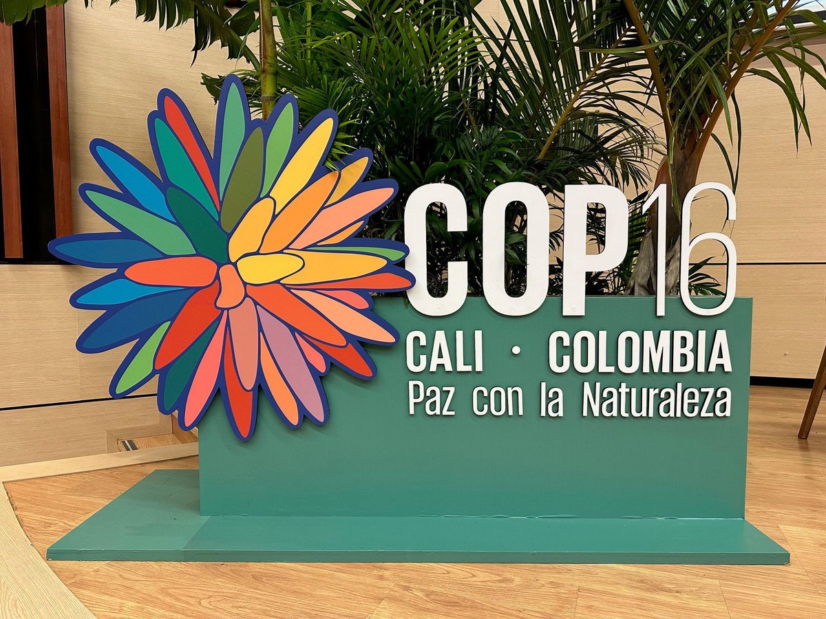 @ksapa.org (@ksapaorg) on Twitter photo BLOG | At #COP16 in Cali, #Colombia, the issue of “biodiversity credits” was central to discussions on #biodiversity preservation. Some see them as a necessary solution to biodiversity collapse, while others view them as a false solution 👉 buff.ly/3NITw77 BLOG | At #COP16 in Cali, #Colombia, the issue of “biodiversity credits” was central to discussions on #biodiversity preservation. Some see them as a necessary solution to biodiversity collapse, while others view them as a false solution 👉 buff.ly/3NITw77