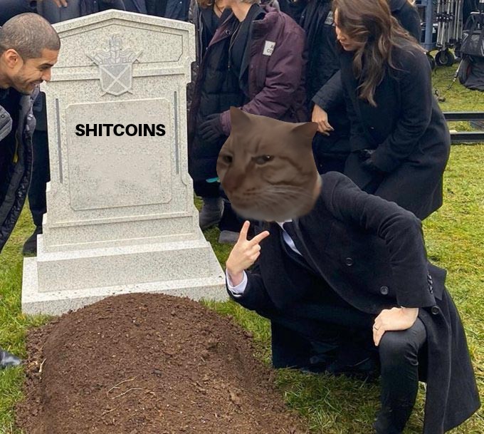 Mr Fresh He is cooking