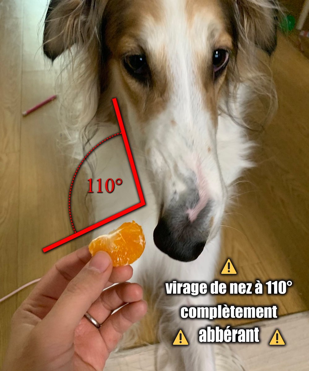 WiNY ʕ ᵔᴥᵔ ʔ tweet media