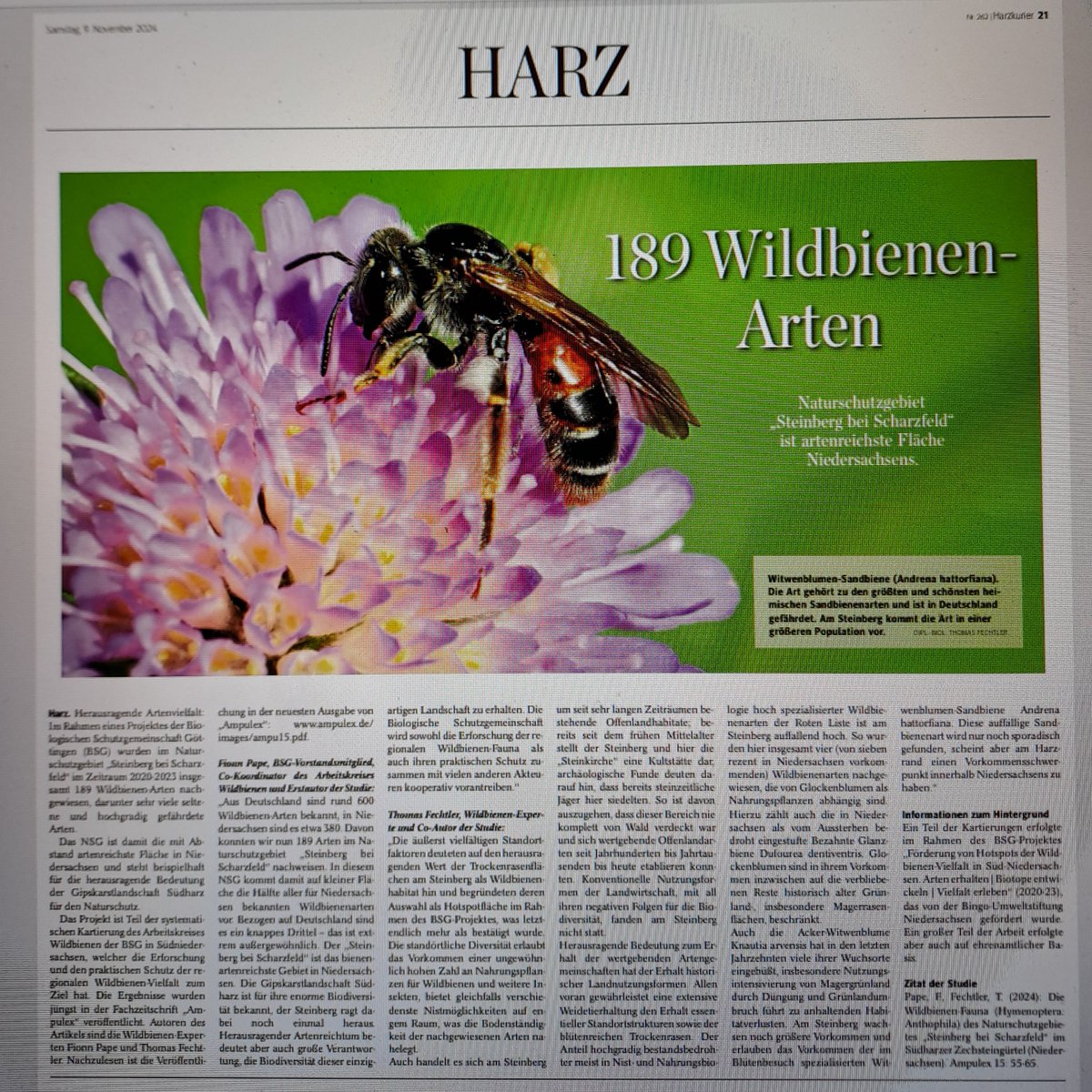 Biologische Schutzgemeinschaft (@bsggoettingen) on Twitter photo 🐝🐝🐝 189 Wildbienen-Arten 🐝🐝🐝
Der <a href="/HarzKurier/">Harz Kurier</a> hat unsere Pressemitteilung zu den Ergebnissen des Wildbienen-Projektes am "Steinberg bei Scharzfeld" aufgegriffen 🥳
Über diese umfangreiche Berichterstattung zum Thema Biodiversität freuen wir uns sehr! 😀 🐝🐝🐝 189 Wildbienen-Arten 🐝🐝🐝
Der <a href="/HarzKurier/">Harz Kurier</a> hat unsere Pressemitteilung zu den Ergebnissen des Wildbienen-Projektes am "Steinberg bei Scharzfeld" aufgegriffen 🥳
Über diese umfangreiche Berichterstattung zum Thema Biodiversität freuen wir uns sehr! 😀