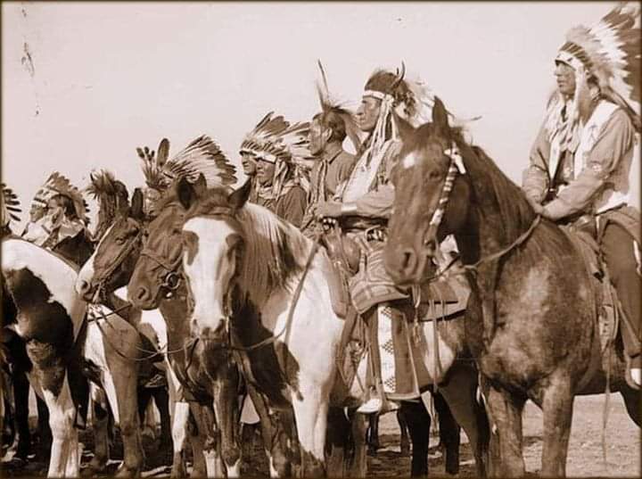 Native American Power🇺🇲 tweet media