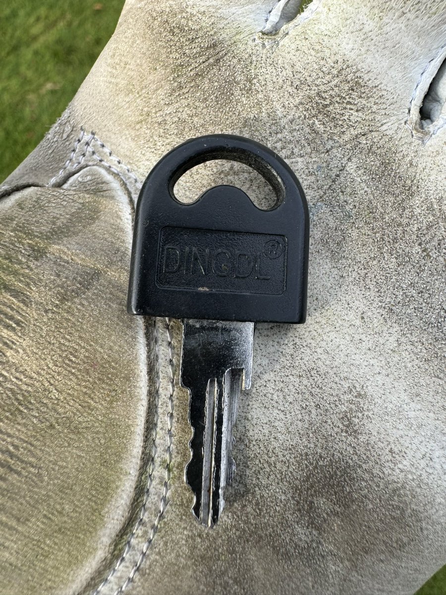 Martyn Morris tweet media