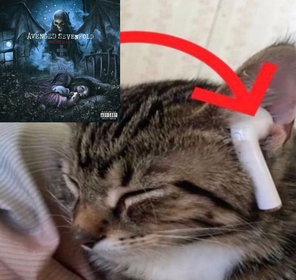 scar 𓋹 (@seizethescar) on Twitter photo 