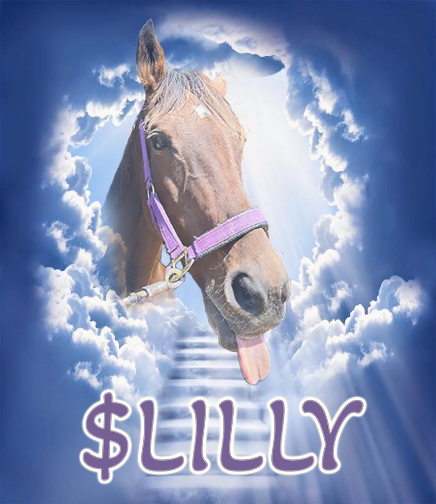 LillySolCTO tweet media
