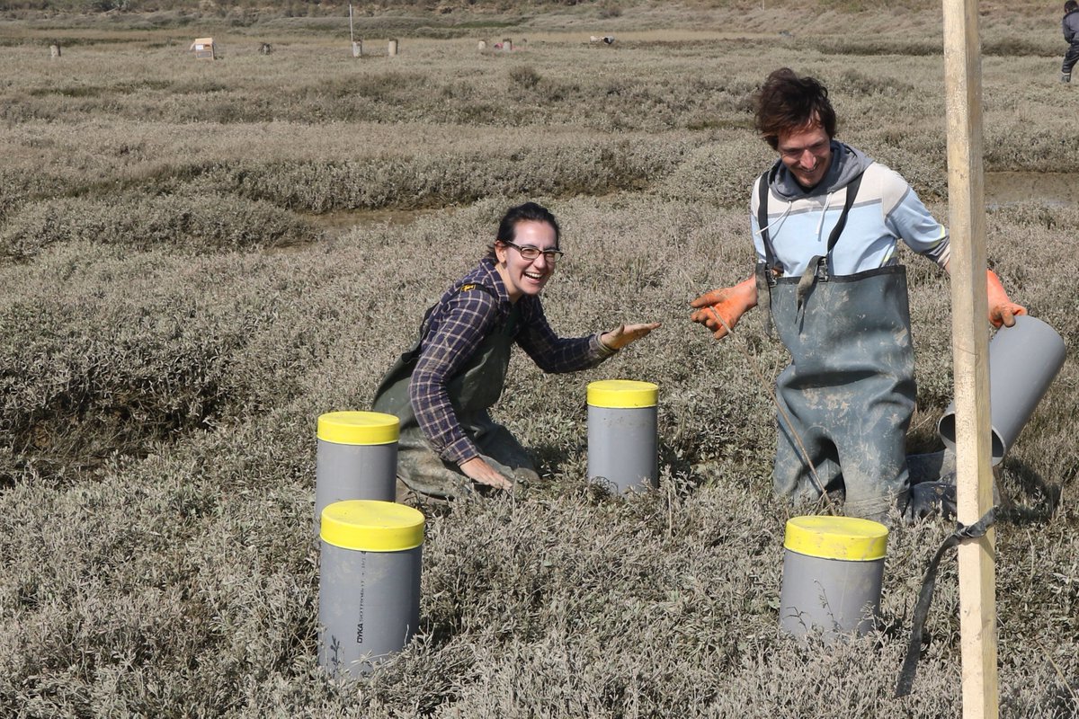 Dr. Marie Arnaud... moove to @marnaud.bsky.social tweet media