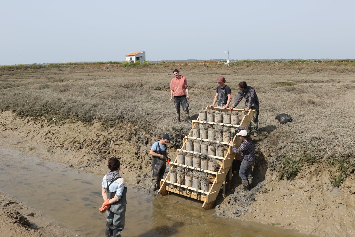 Dr. Marie Arnaud... moove to @marnaud.bsky.social tweet media