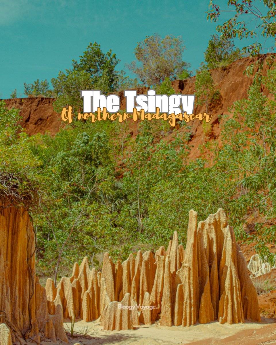 iamrakotobe_'s tweet photo. ✨ Exploration time! 🌍

Madagascar’s Tsingy formations are out of this world! I explored two stunning spots in the north:

➡️ Red Tsingy: surreal red rock landscapes shaped by time.
➡️ Gray Tsingy: sharp limestone peaks, millions of years old.

#Madagascar #travel https://t.co/Dhgz7wa1BS