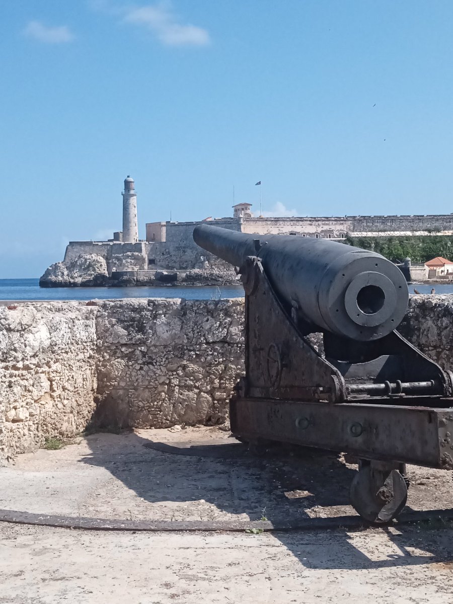 Libia Miranda tweet media