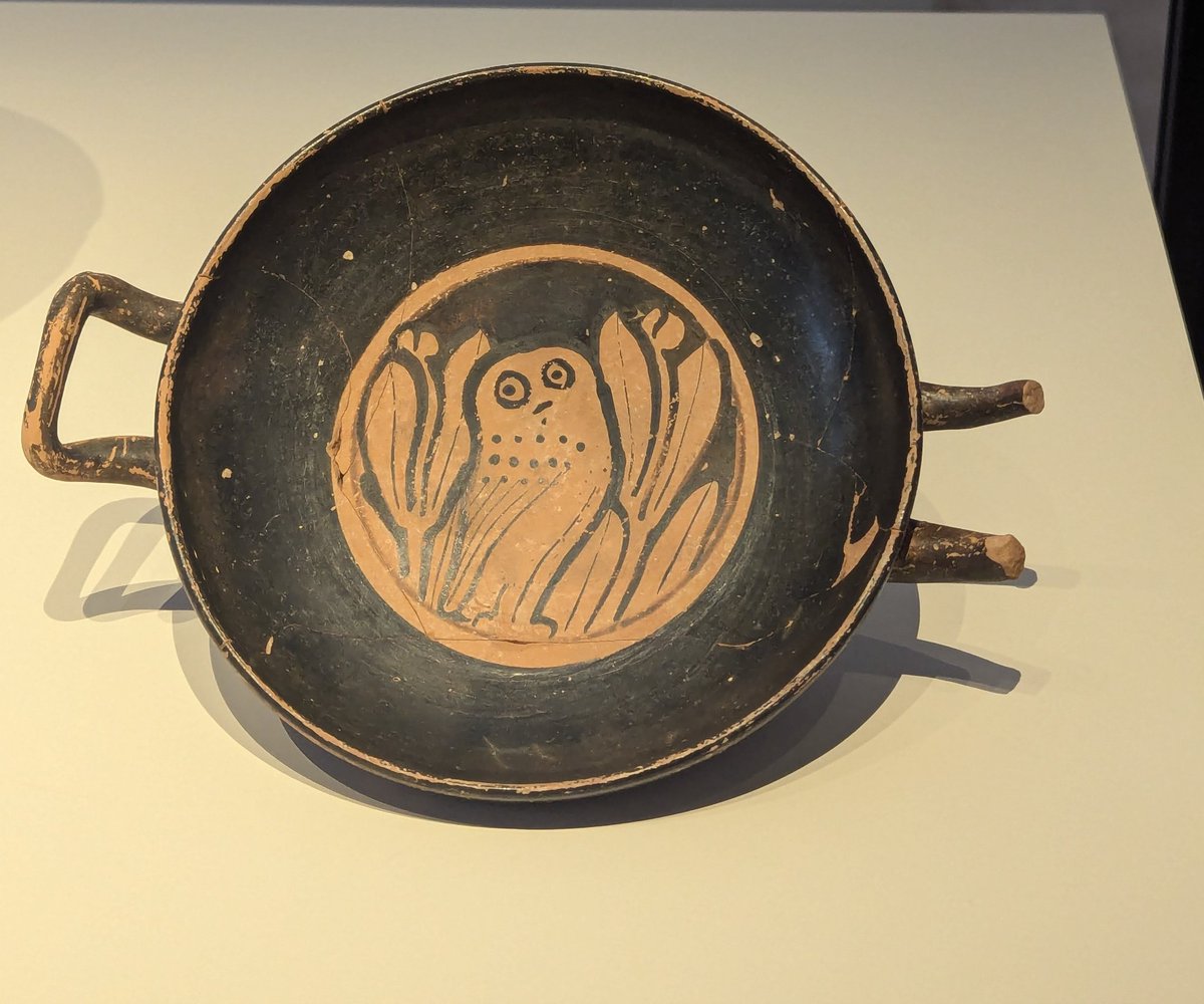 Livia en Roma tweet media