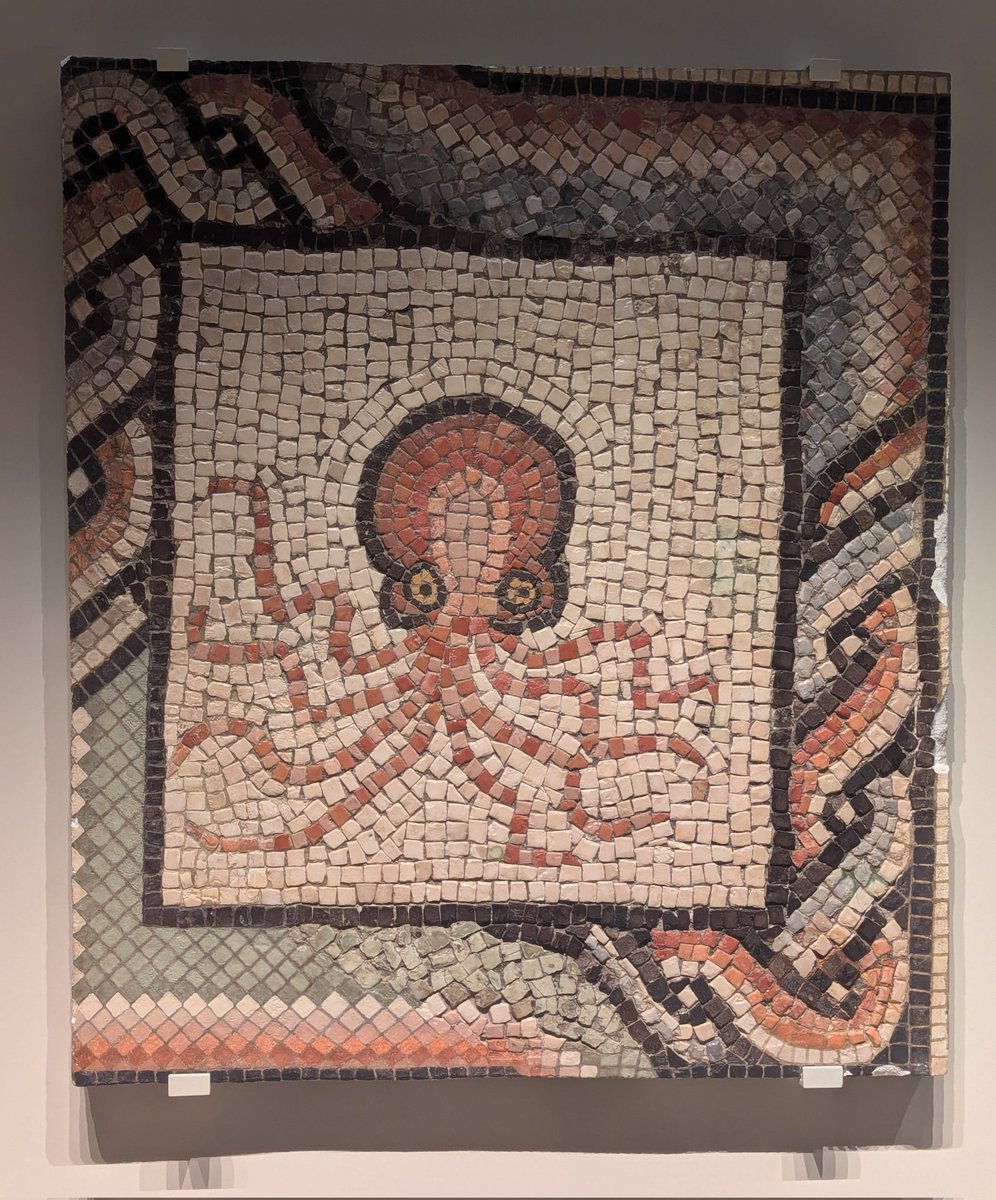 Livia en Roma tweet media