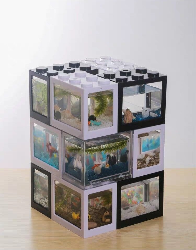 이런 미니 수조를 하나쯤 갖고 싶어져