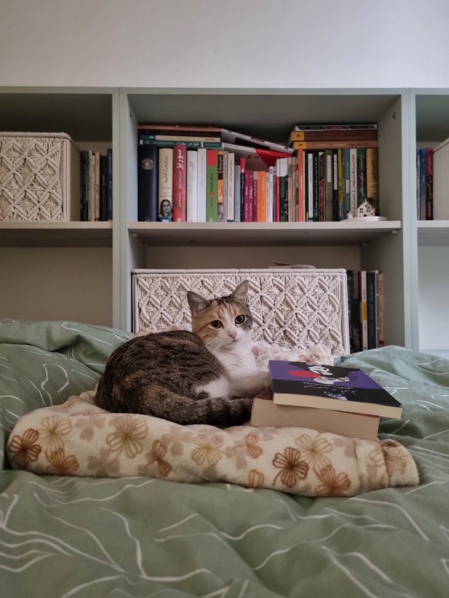 نازنین حاجی‌زاده tweet media