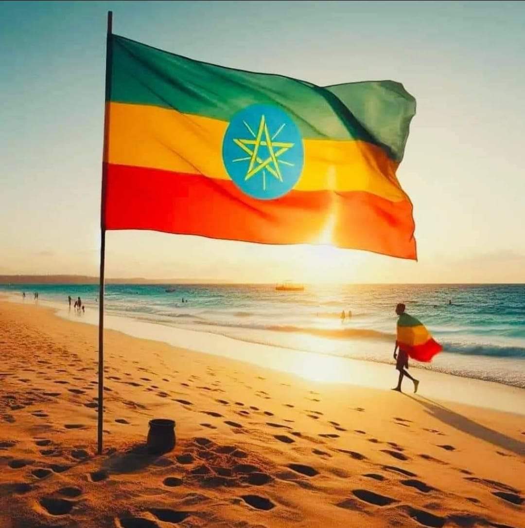 sabrinchannel0's tweet image. #Assab