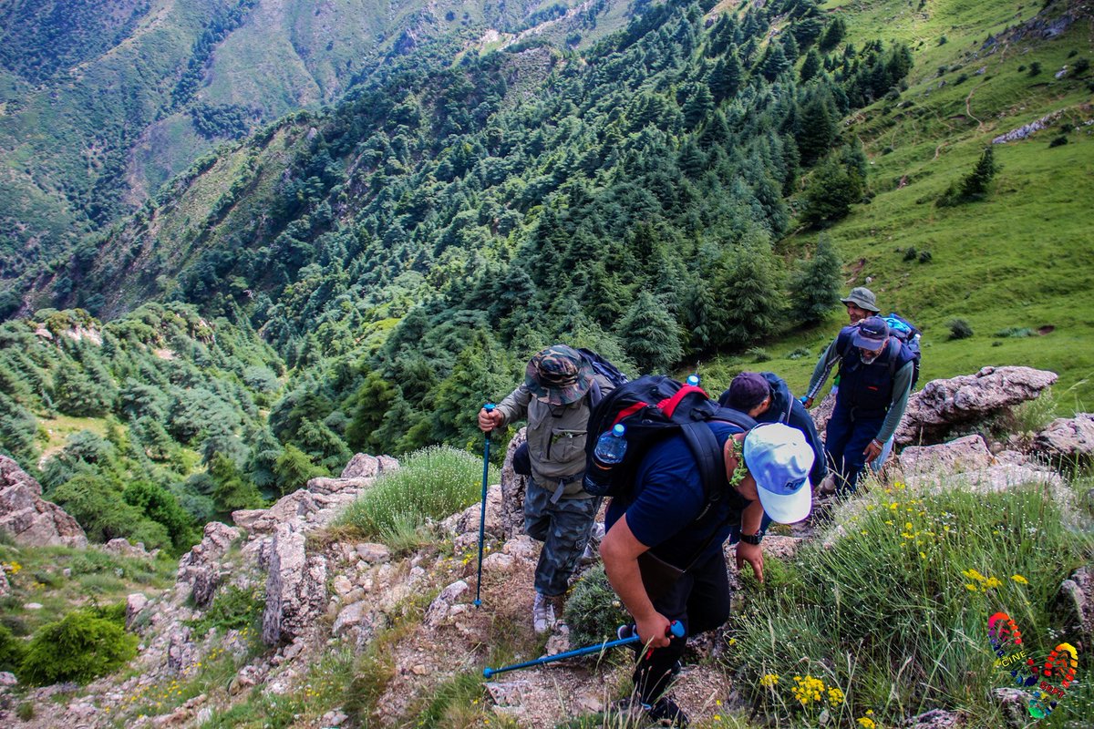 KABYLIEDZ's tweet photo. 📍Le Pic des Cèdres (culminant à environ 1900m d'altitude),  Tizi-Ouzou 

📷 : Meziane Merzouk https://t.co/9gupX3nOsJ