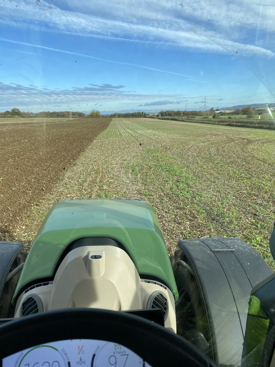 Unbelievable… drilling wheat and blue sky .. not grey dank mizzle👍👍🥂🥂#gettingon