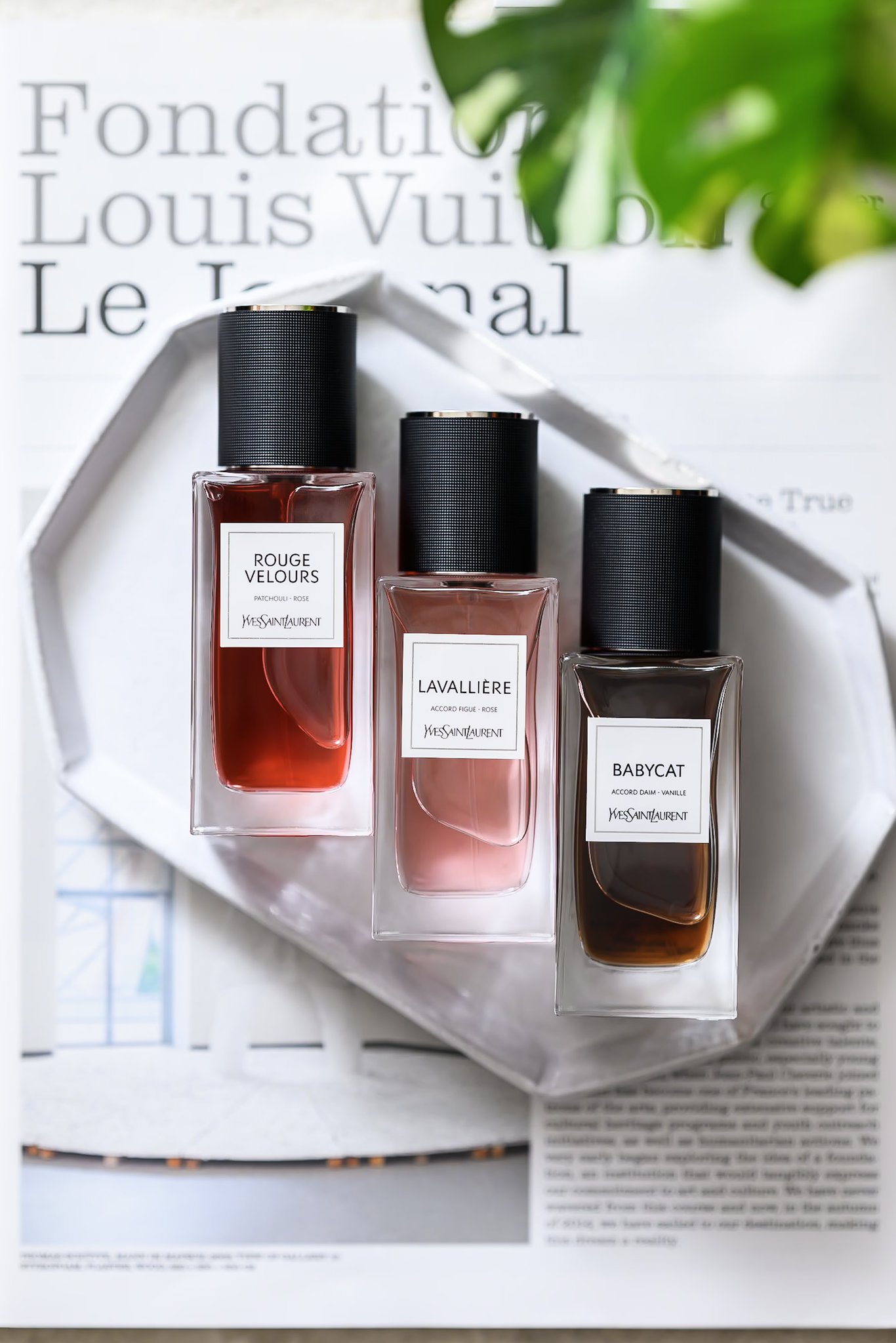 ル ヴェスティエール デ パルファムBABYCAT ベビーキャット