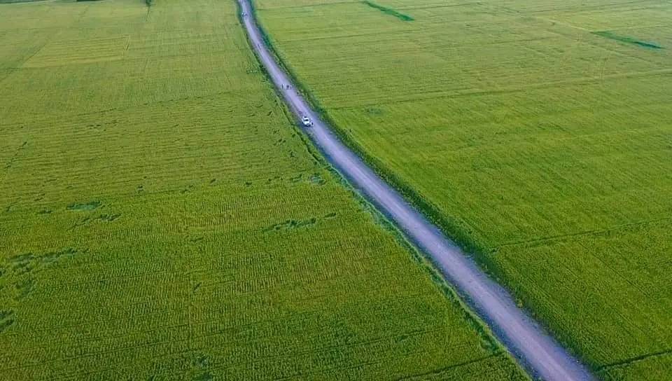 DrAbayneh's tweet image. Wheat Development's Role in the #Kafa Zone: Sustainable wheat development is essential for enhancing productivity and ensuring food security for smallholders. This includes varietal diversification, which significantly boosts crop yields in the national.