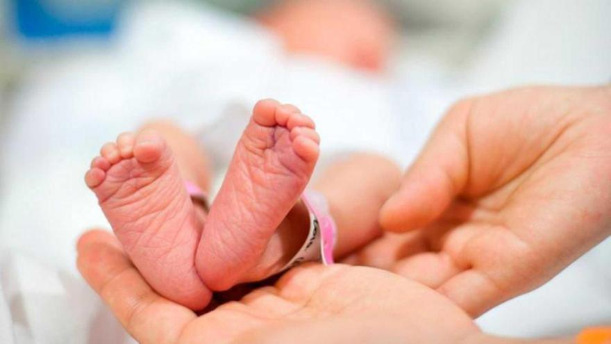 NEXOar's tweet photo. HOY hablamos con Graciela del Corral, jefa de Neonatología del Hospital de Clínicas de la UBA, por el Día Mundial del Prematuro.

#MundoUba con @RicBraginski
#CNNRadioArgentina

https://t.co/4WeDPYOGka https://t.co/lJN55XUVXG