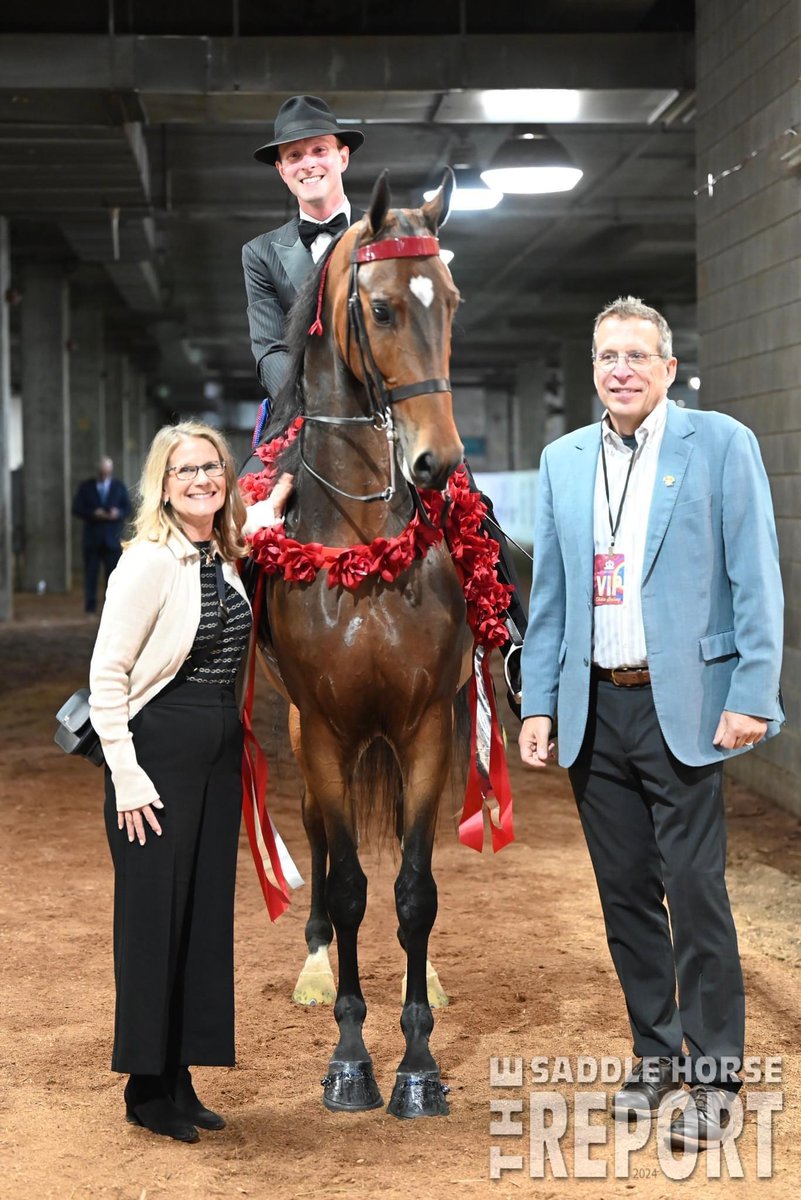 Scott Spaulding DVM tweet media