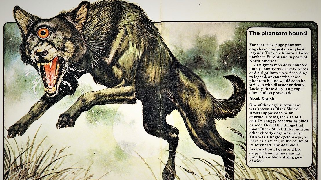 Today's #FolkloreSunday theme is Favourite Folklore from Childhood - and for Eleanor that one's easy: the demon dog BLACK SHUCK!!! Listen to her telling on our Series 3 finale, all about the #history and #folklore of #Norfolk here: threeravenspodcast.com/podcast/episod… #podcast #blackshuck