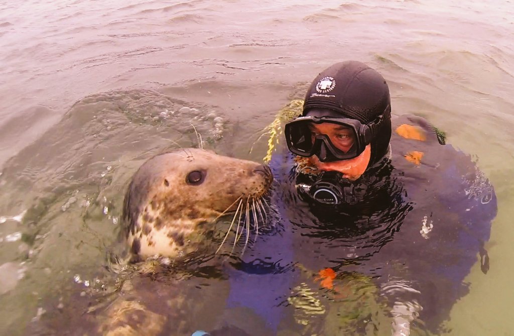 Ben Burville (@sealdiver) on Twitter photo Escape to another world...
Viz has been excellent
Sunday 24th November
<a href="/farnesdiving/">William Shiel</a> has some places leaving #Seahouses #Northumberland to dive the Farnes
Book now with William 07799666573 Escape to another world...
Viz has been excellent
Sunday 24th November
<a href="/farnesdiving/">William Shiel</a> has some places leaving #Seahouses #Northumberland to dive the Farnes
Book now with William 07799666573