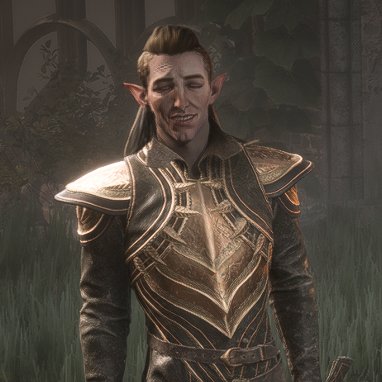 #veilguardspoilers happy solas for the tl