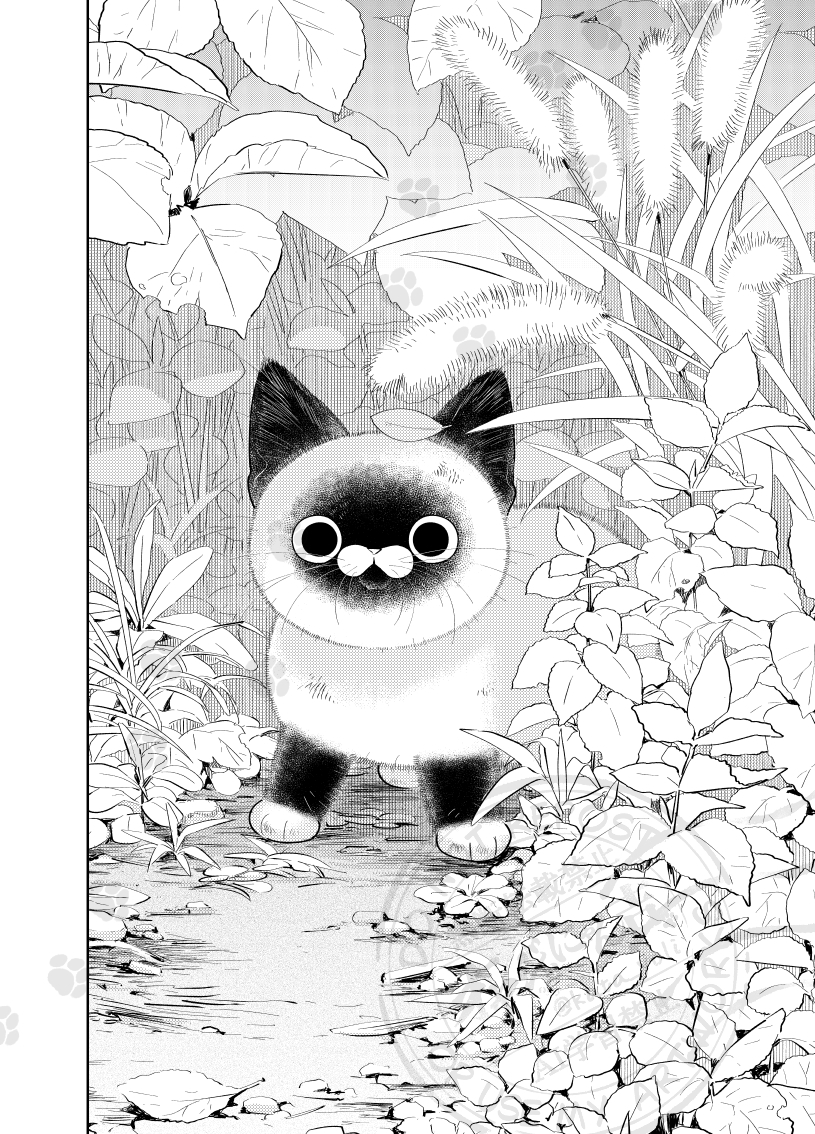 とある子猫の一日。
(0/3)
#漫画がよめるハッシュタグ
#猫にカチ込まれる暮らし