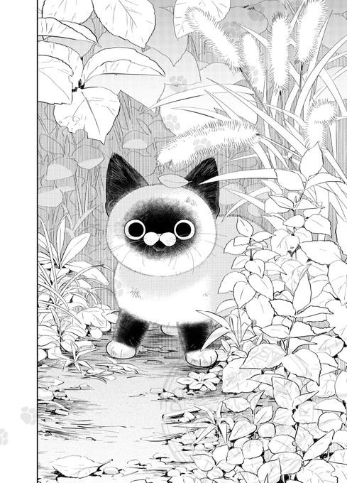 とある子猫の一日。

(0/3)

#漫画がよめるハッシュタグ 
#猫にカチ込まれる暮らし 
