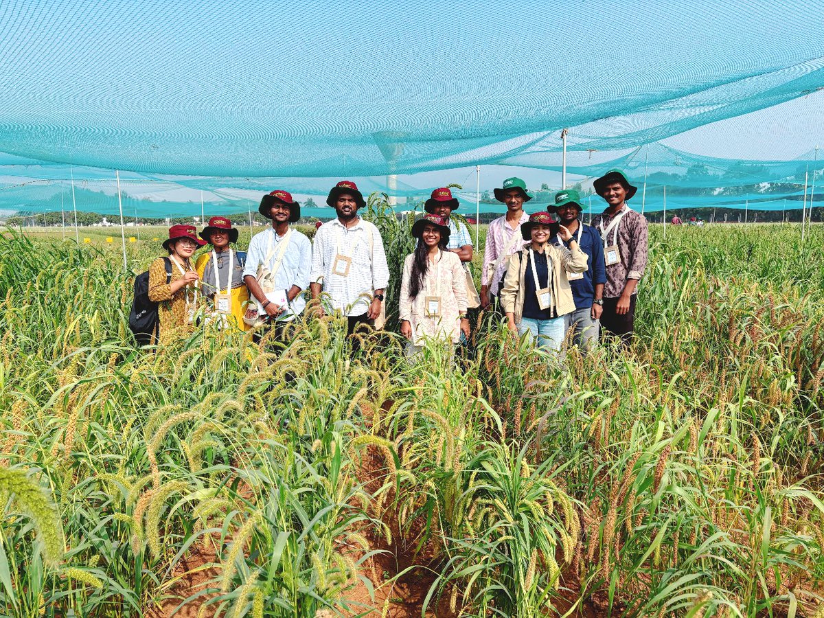 PSpoojashukla's tweet image. Had the privilege of attending ICRISAT&apos;s Small Millets Field Day, showcasing the stunning diversity of small millet germplasm. A true testament to their potential as climate-smart, nutritious crops for sustainable agriculture. Kudos to ICRISAT for championing this!🌍 #Millets🌾✨