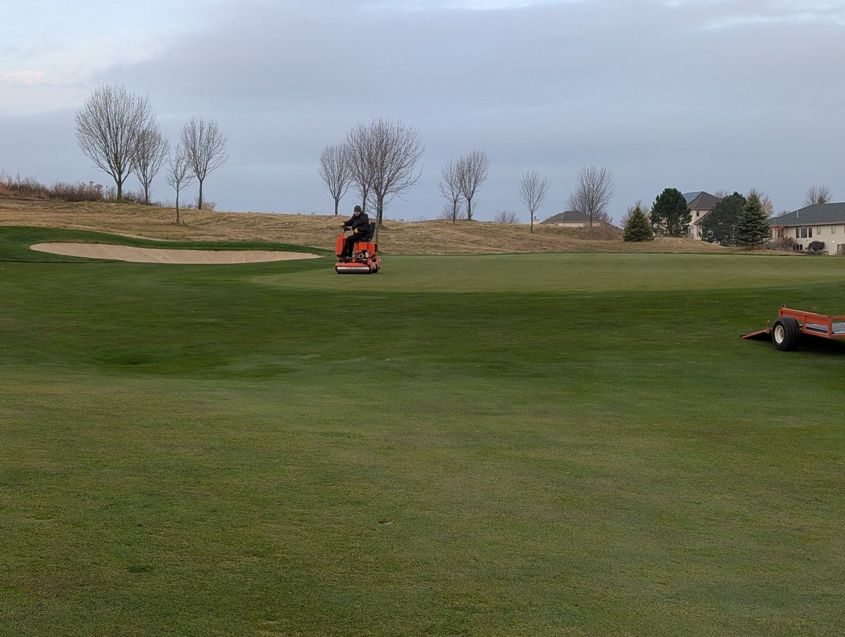 Rolling greens today.