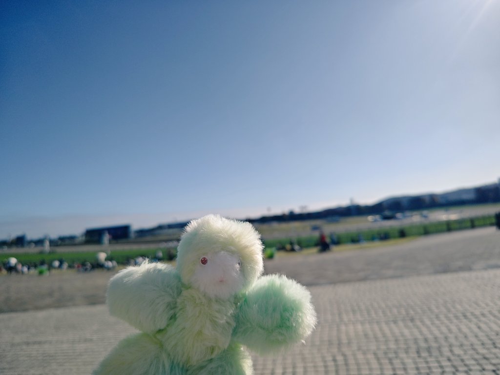 astlomo's tweet photo. 今日のおでかけにいっしょにいったなまけものちゃん🌸 https://t.co/Dn1a408BKk