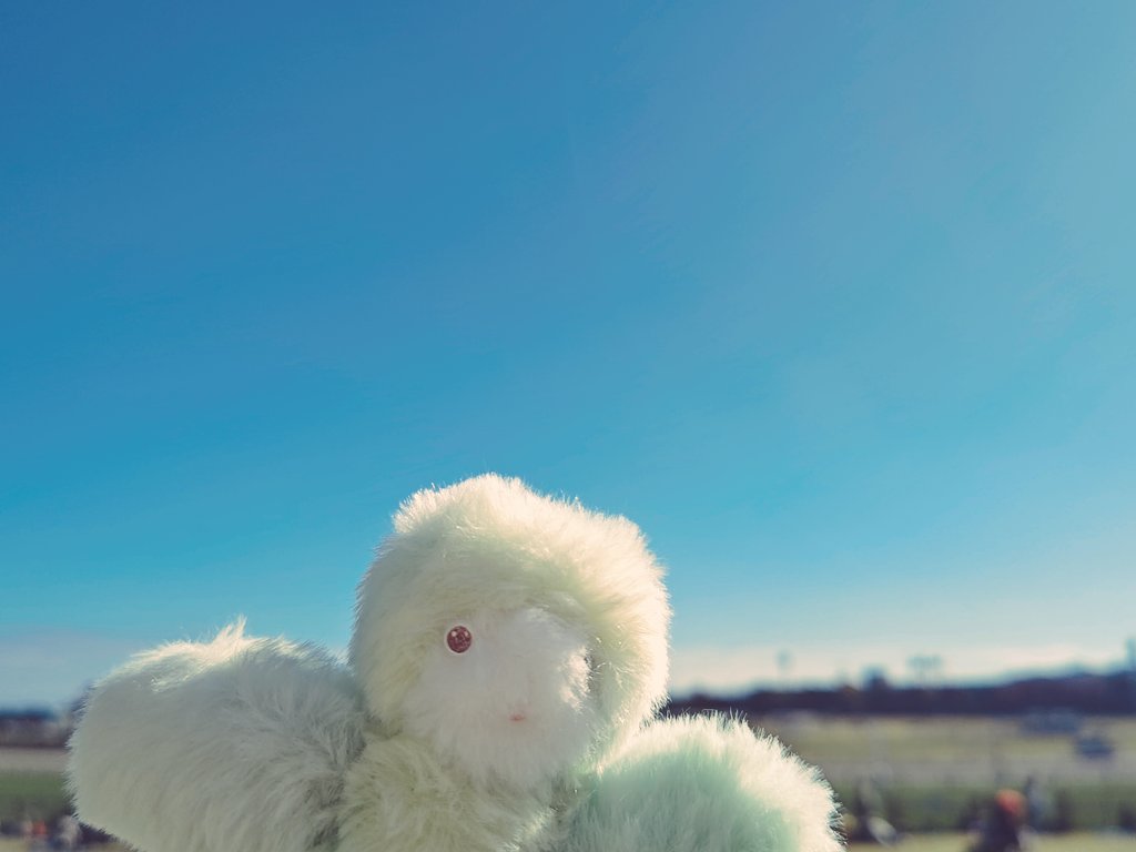 astlomo's tweet photo. 今日のおでかけにいっしょにいったなまけものちゃん🌸 https://t.co/Dn1a408BKk