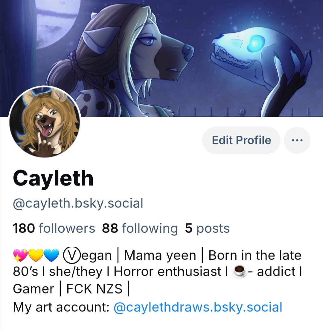 Die Hyänin 🐾 tweet media