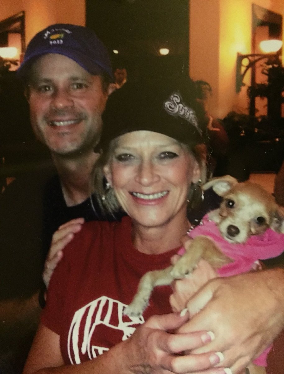 Mike Steely tweet media