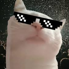 Gvibe 

Woke up like this

Vibecat.com