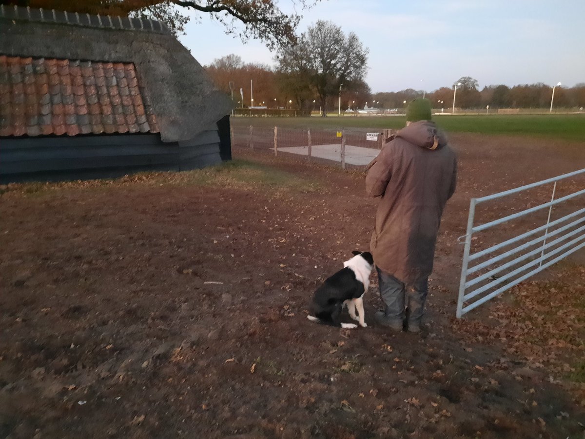 Lianne van den Brandhof-vd Blaak tweet media