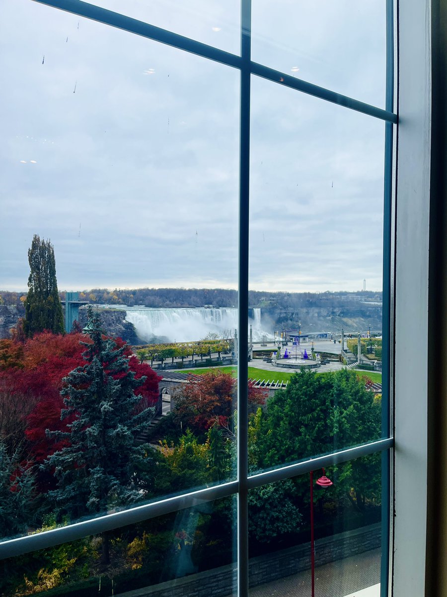 Anna Naim tweet media