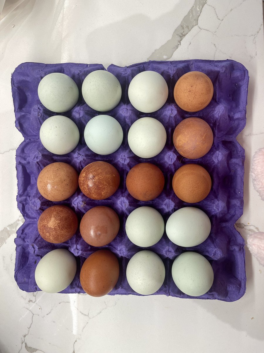 lindaloves2eat's tweet photo. Breakfast. #MAHA #lindaloves2eat #pastureraised
#organic #greeneggs
#eggs https://t.co/ugi2oT0alO