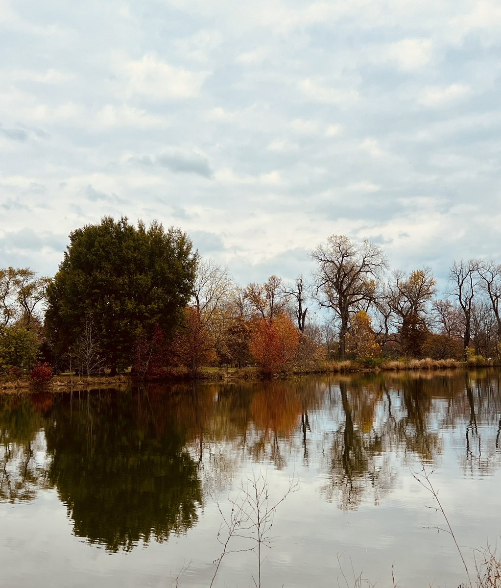 ⚡️Bang Baby⚡️ tweet media