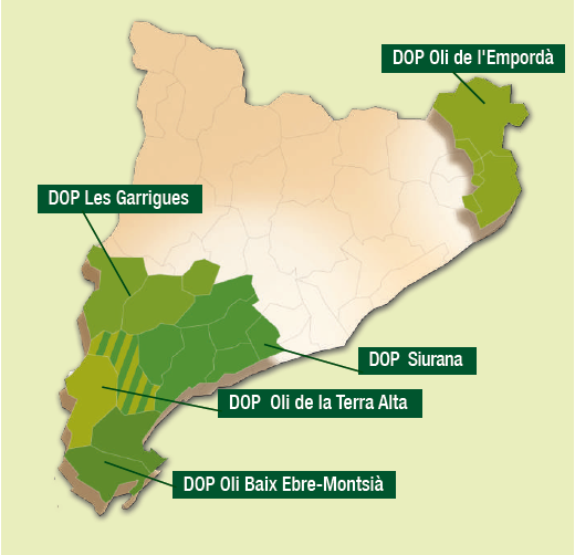 Olis DOP Catalunya