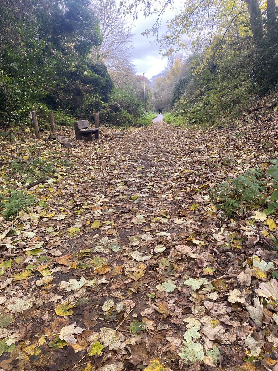 lisamatthewman's tweet photo. Autumnal walk earlier today 💖🍁💖 https://t.co/AKFsMd4xXH