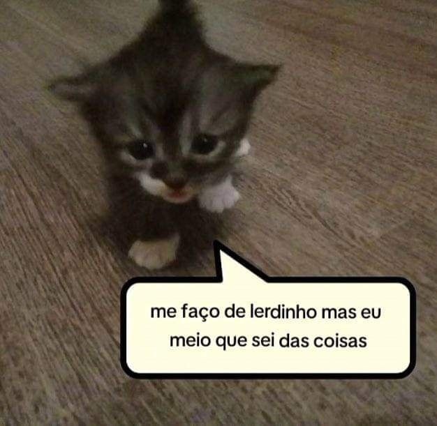 animais com frases aleatorias (@animaisfrases_) on Twitter photo 