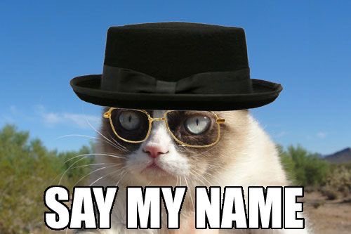 <a href="/jeremybtc/"></a> BREAKING : cat $BCAT