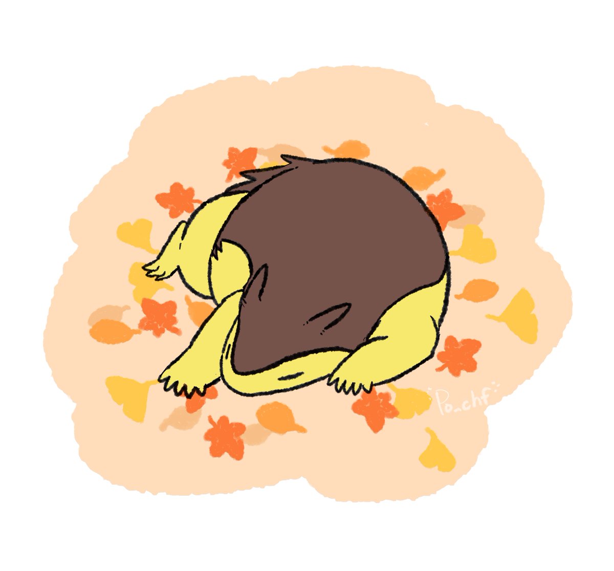 🌨 (@po_chf) on Twitter photo 