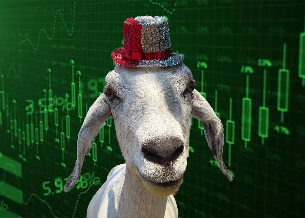 $CCP Communist Cat Party tweet media