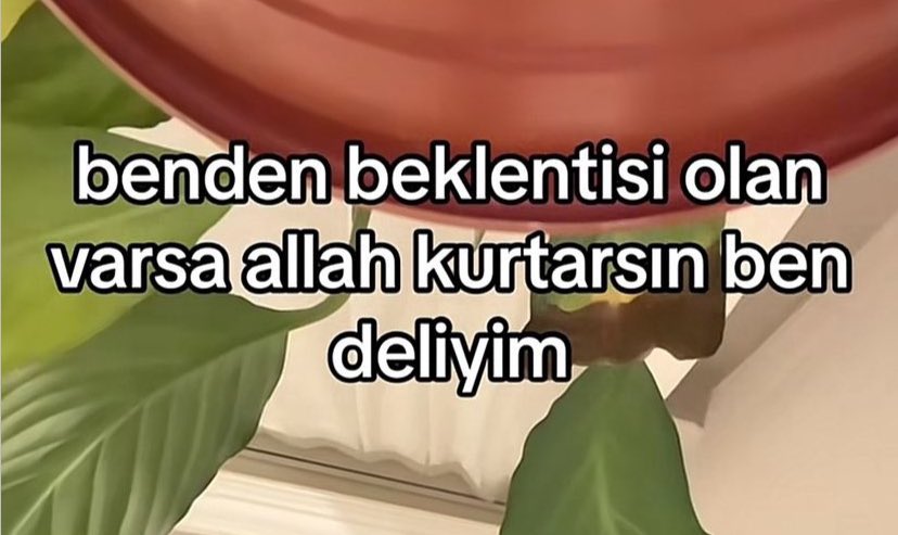 Emre Efe tweet media